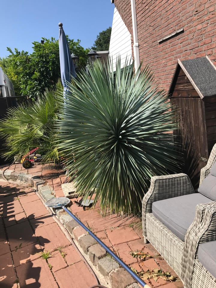 Photo 47 of de Iep 1