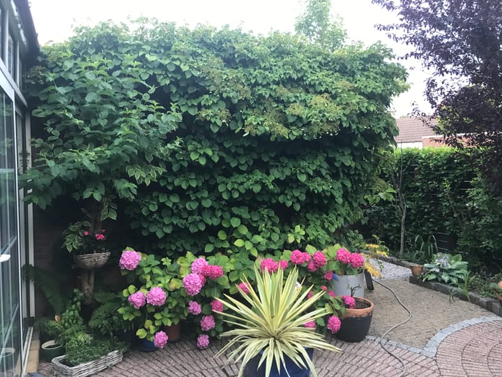 Photo 49 of de Iep 1