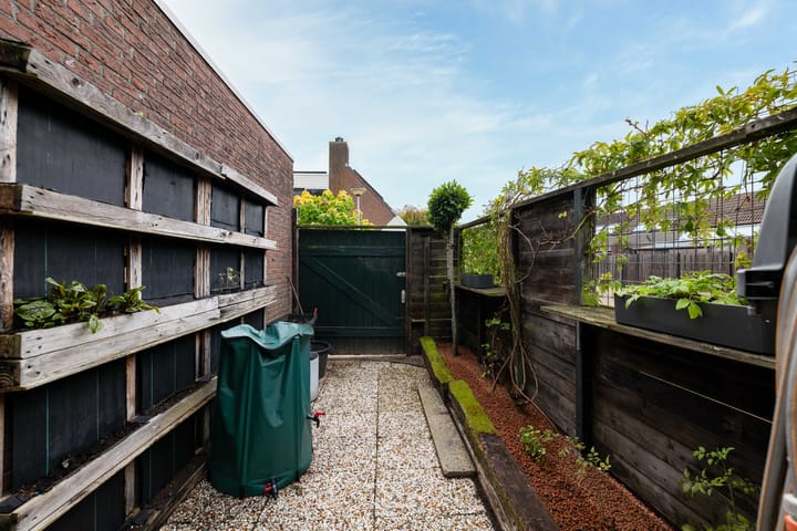 Photo 50 of de Iep 1