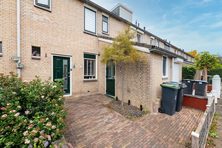 Photo 3 of Konijn 14