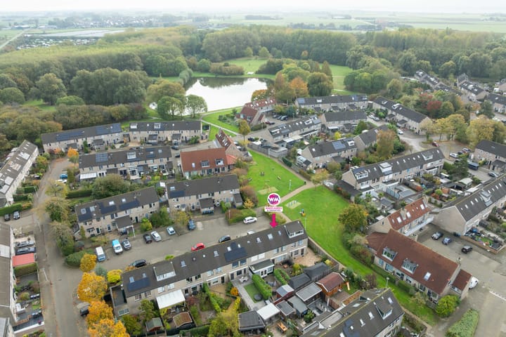 Photo 4 of Konijn 14