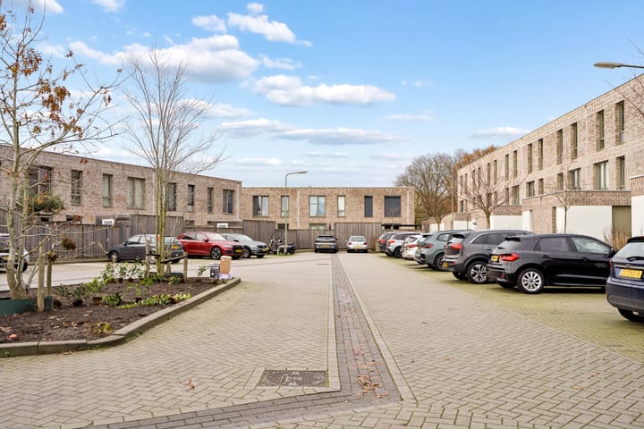 Foto 35 van Sonate 12