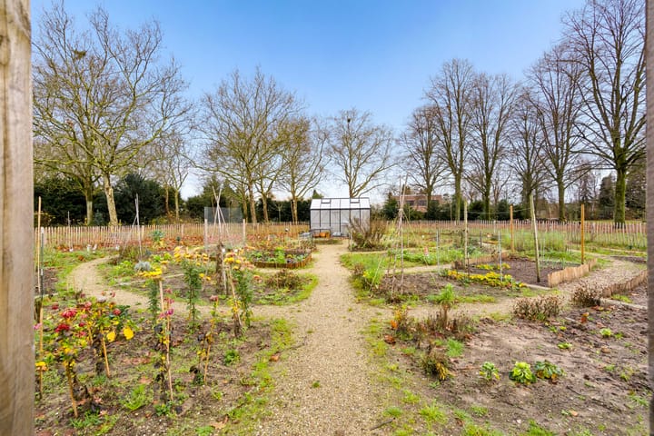 Foto 36 van Sonate 12