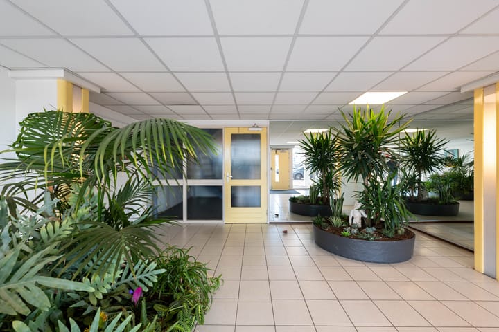 Photo 28 of Timmer Werf 57