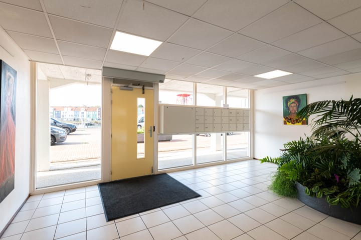 Photo 29 of Timmer Werf 57