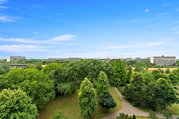 Foto 27 van Sibeliusplein 227