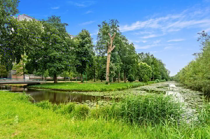 Foto 32 van Sibeliusplein 227