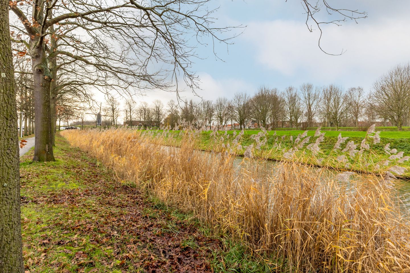 Photo 29 of Ripperdaweg 6