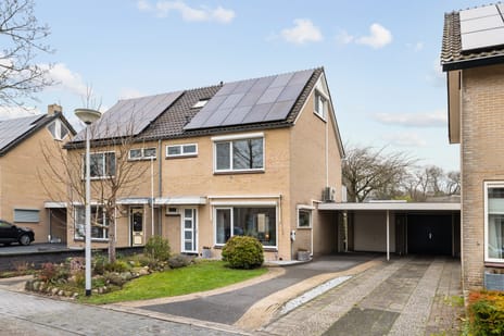 undefined main image