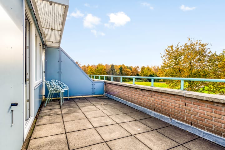 Foto 40 van Ebenezer Howardpark 6