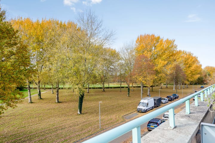 Foto 42 van Ebenezer Howardpark 6