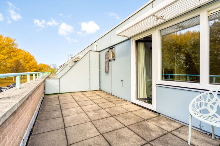 Foto 43 van Ebenezer Howardpark 6