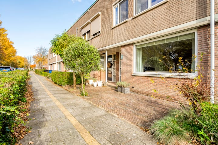 Foto 45 van Ebenezer Howardpark 6