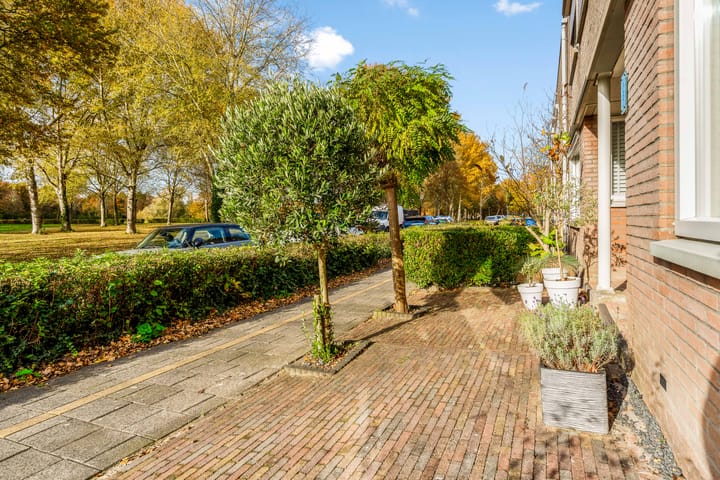 Foto 46 van Ebenezer Howardpark 6