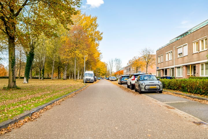 Foto 49 van Ebenezer Howardpark 6