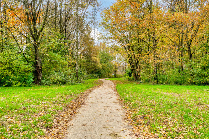 Foto 50 van Ebenezer Howardpark 6