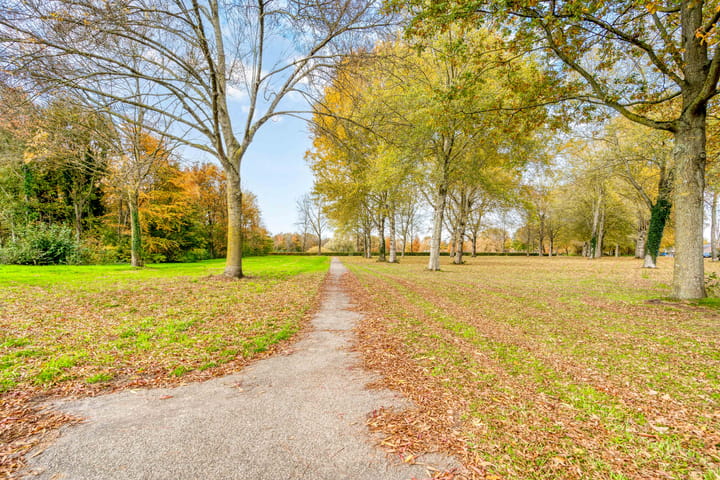 Foto 51 van Ebenezer Howardpark 6