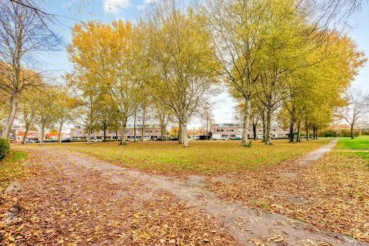 Foto 52 van Ebenezer Howardpark 6