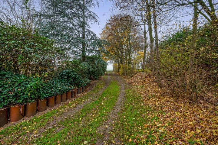 Foto 48 van Krijtenburg 10