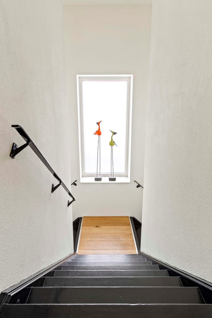 Photo 22 of Genooyerbergen 4