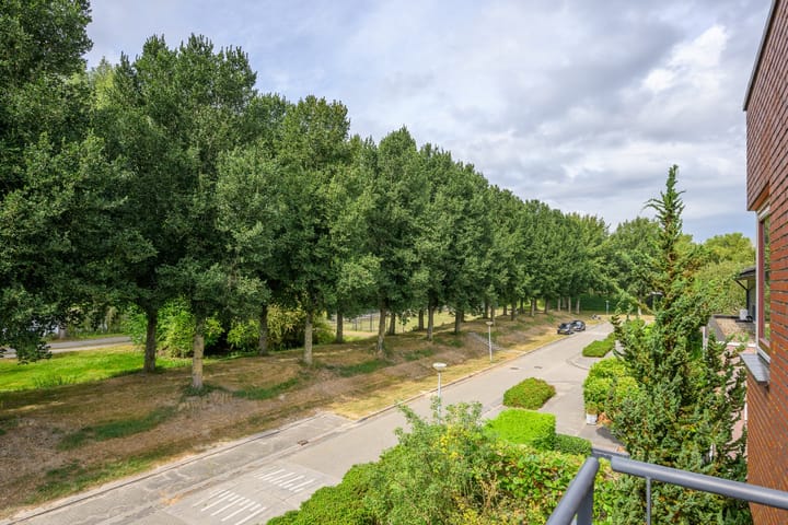 Foto 32 van Gerard Doustraat 13