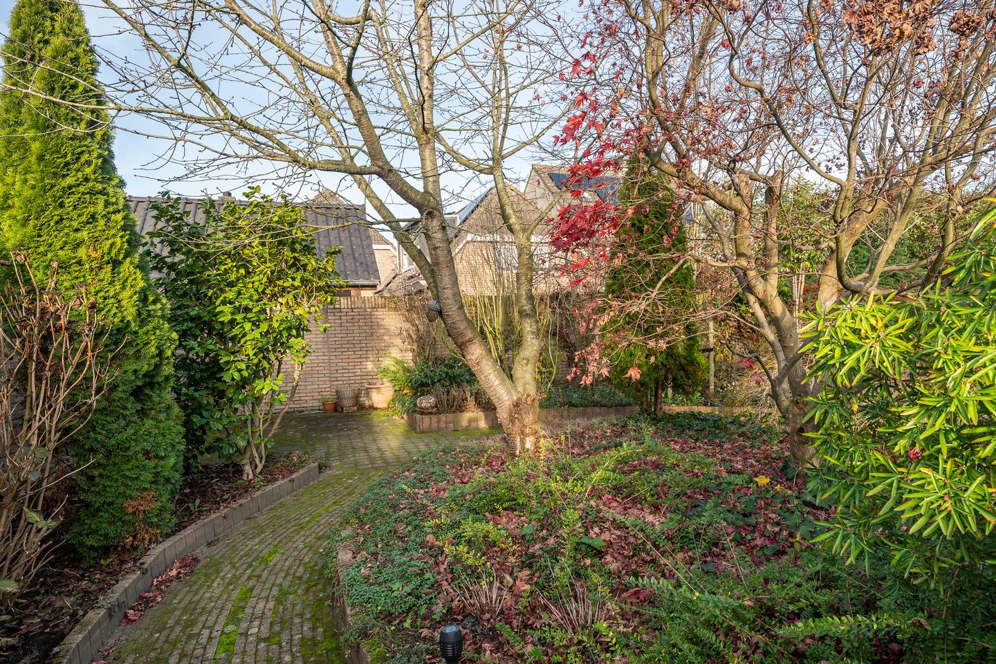 Foto 44 van Kruisstraat 119