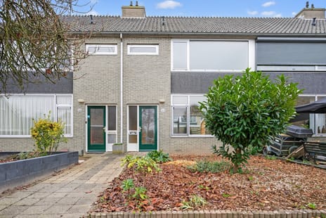 undefined main image