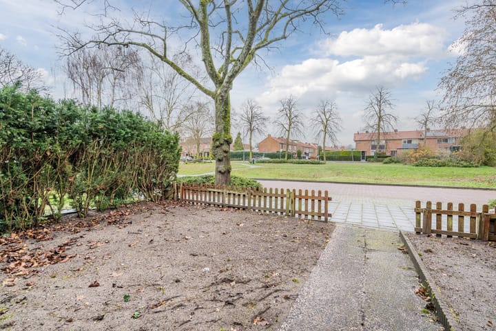 Foto 4 van De Wittenhagen 24