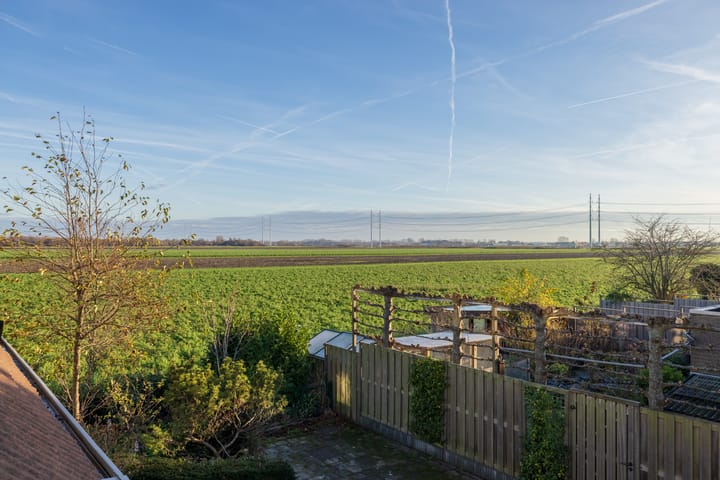 Foto 27 van Rietkraag 120