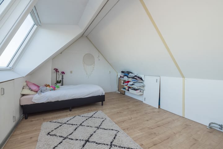 Foto 31 van Rietkraag 120