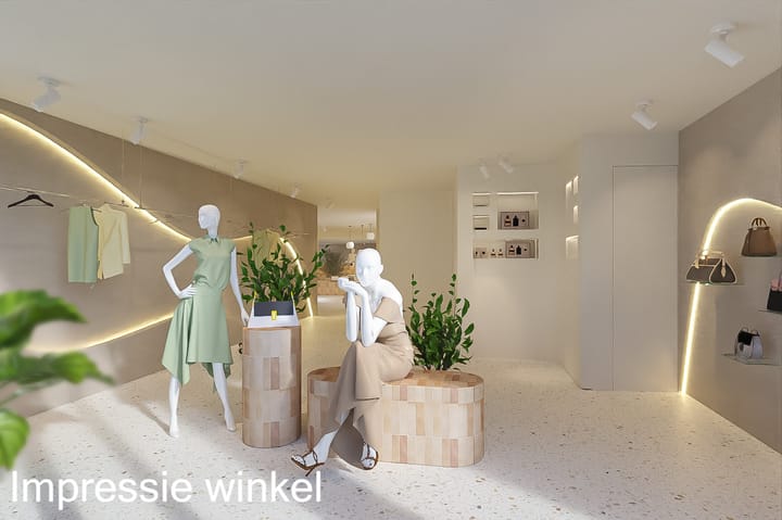 Foto 10 van Looierstraat 93