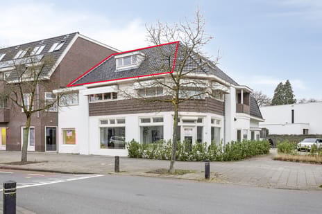 Koninginnelaan thumbnail