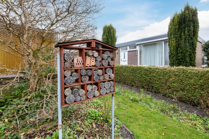 Photo 15 of Ludgerstraat 3