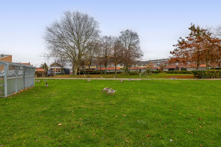 Foto 44 van Van Speykstraat 80