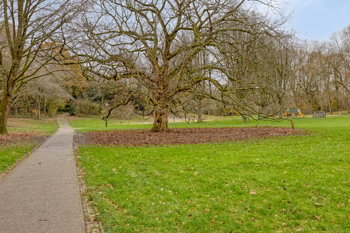 Photo 51 of Maaseikstraat 3