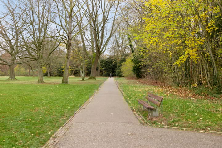 Photo 52 of Maaseikstraat 3