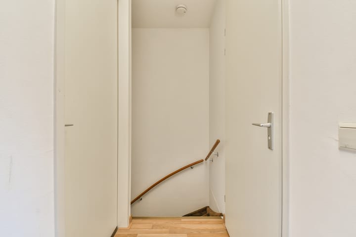 Foto 10 van Steur 31