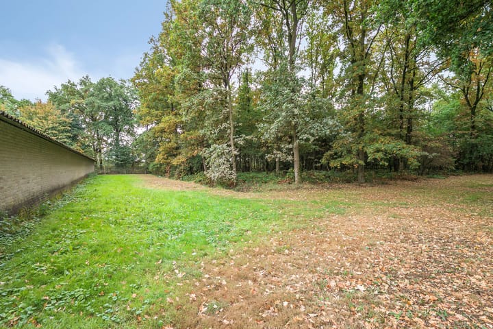 Foto 47 van Langstraat 20-A