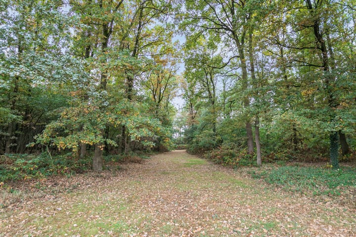 Foto 48 van Langstraat 20-A