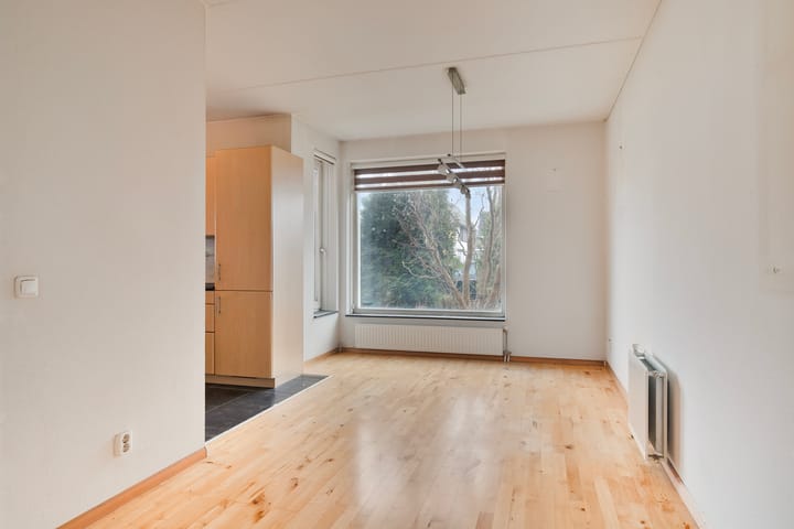 Foto 7 van Galjoen 10 7