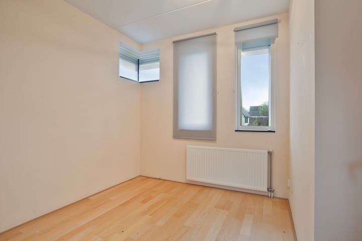 Foto 16 van Galjoen 10 7