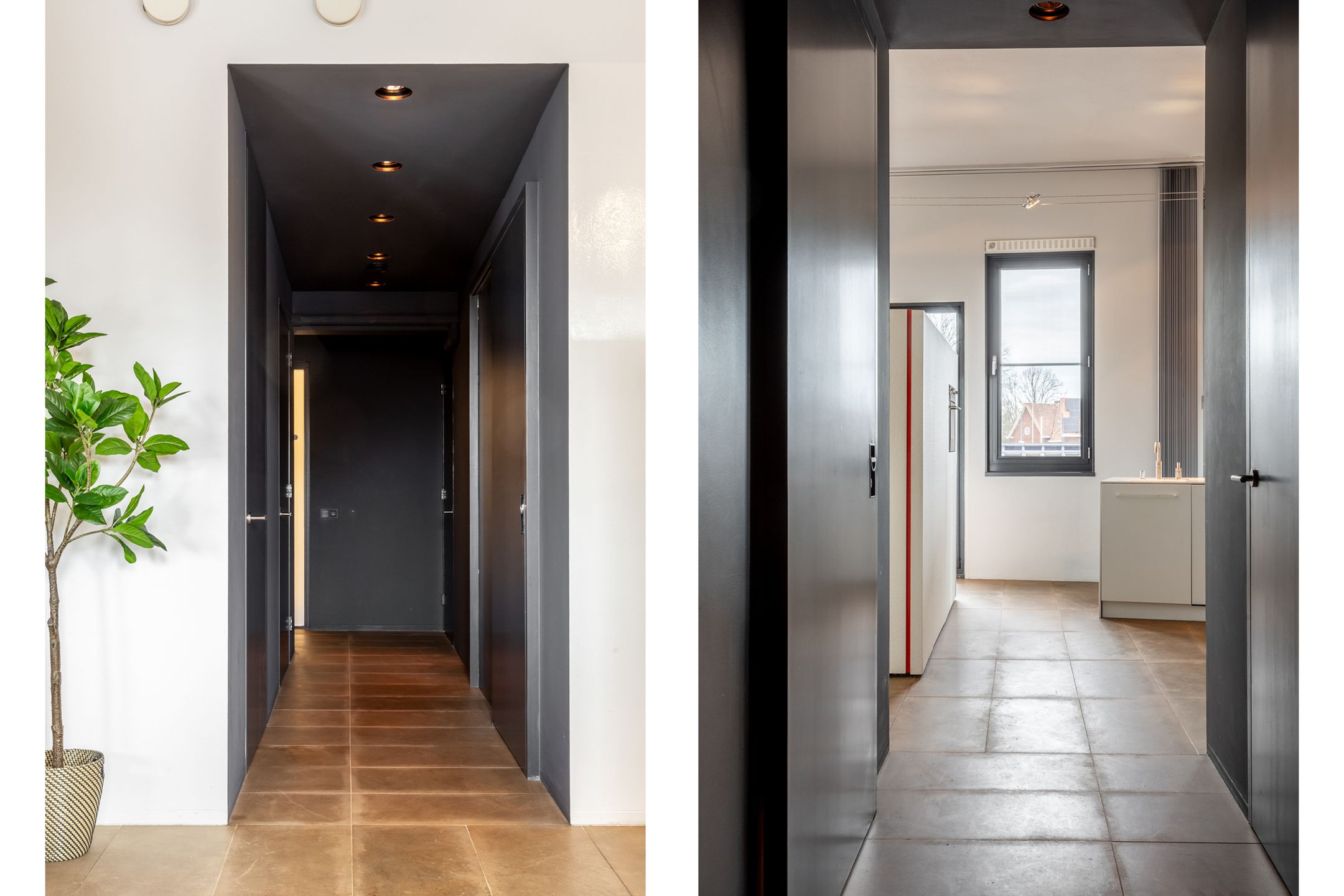 Photo 33 of Fanny Blankers-Koenplein 5