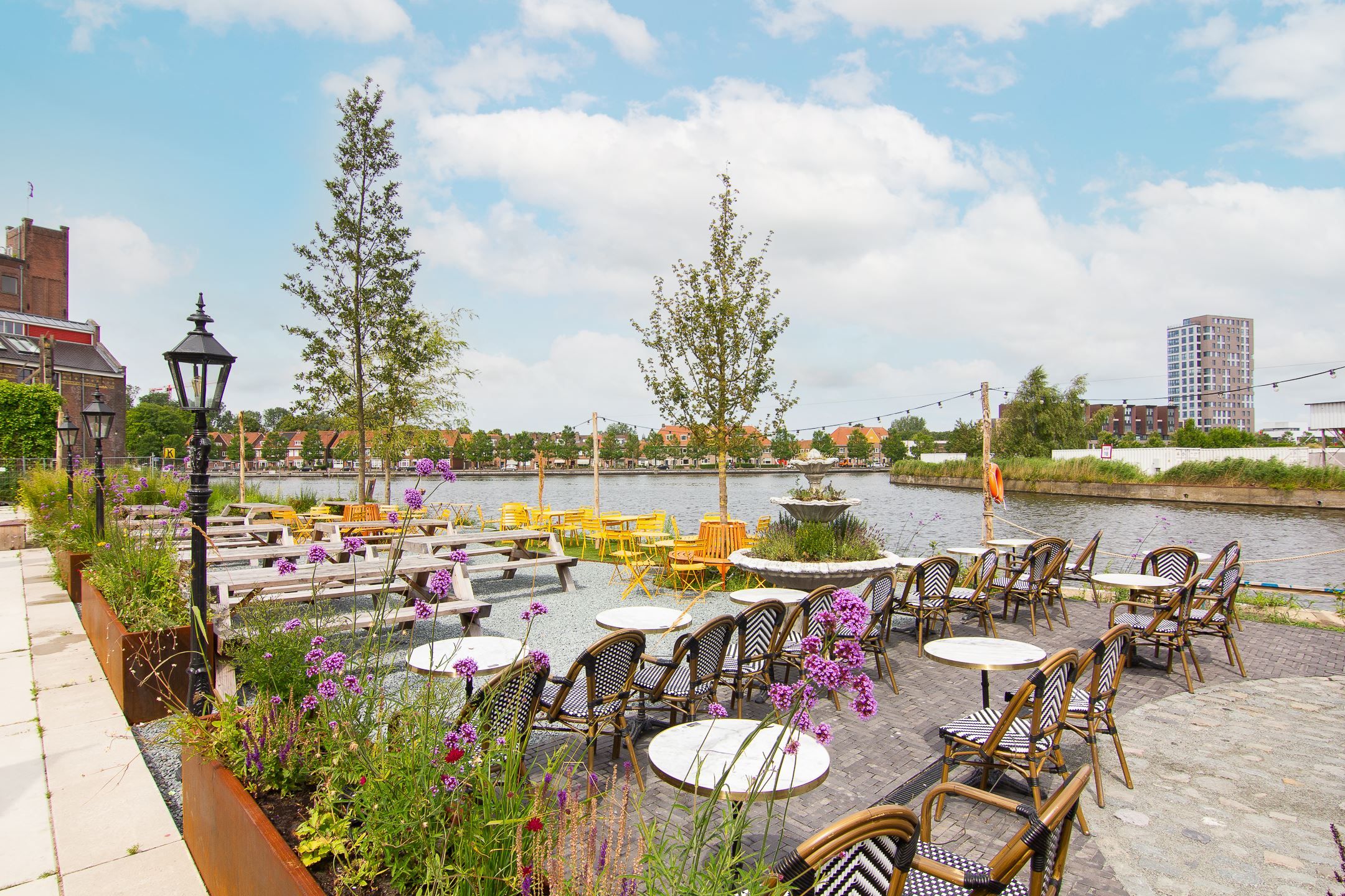 Photo 42 of Fanny Blankers-Koenplein 5