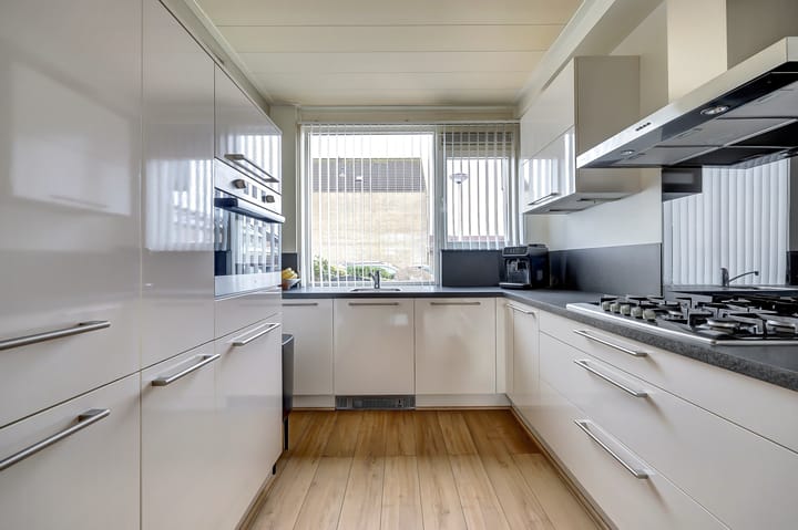 Foto 2 van Creekpad 7