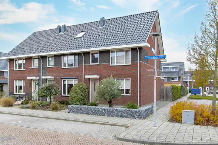 Sleutelbloemstraat 19