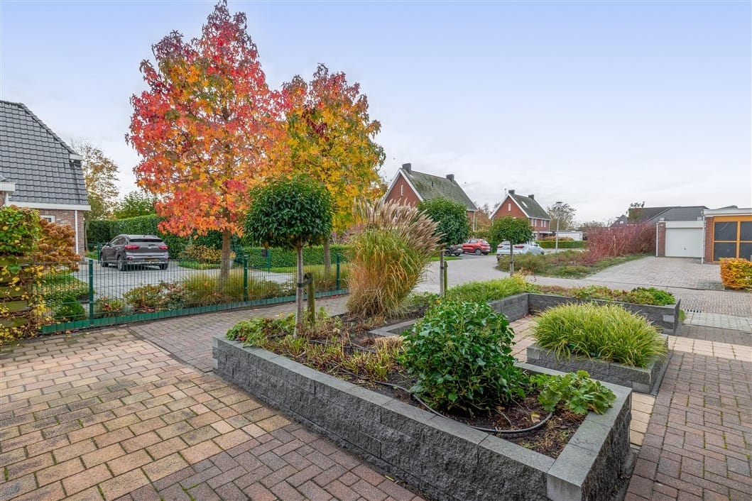 Photo 8 of Jan Altinkhof 6