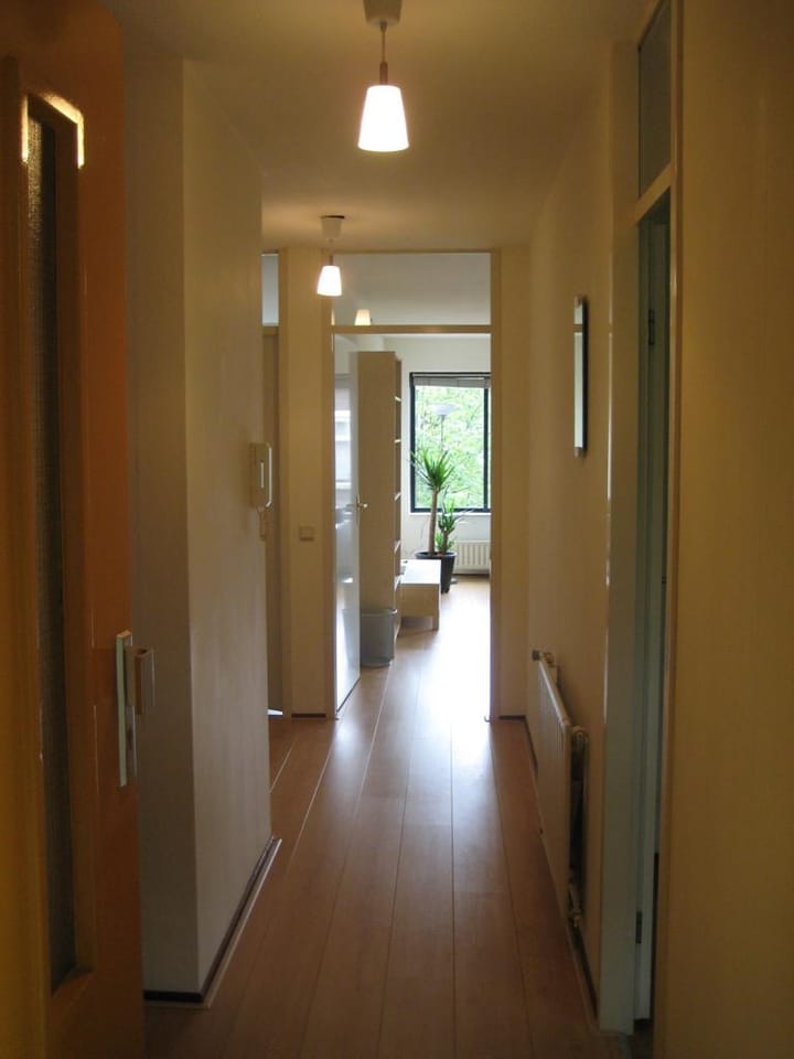 Foto 6 van Arthur van Schendelstraat 703