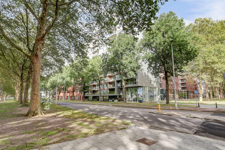 Photo 6 of Prinsenlaan 617-D