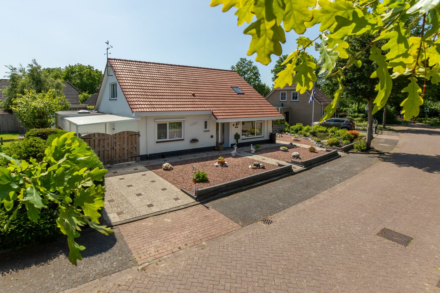 Photo 4 of Vlaamse Gaai 7
