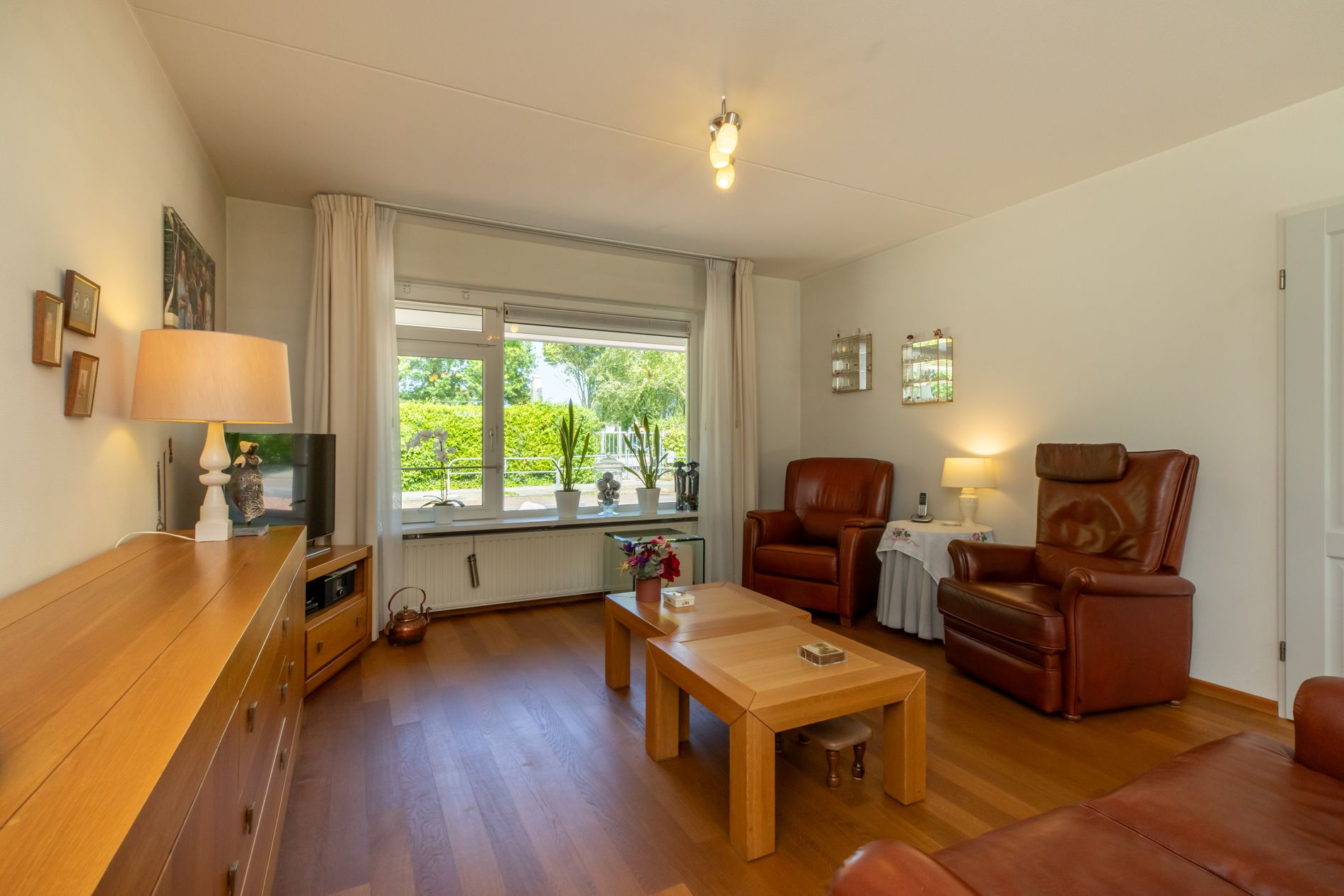 Photo 9 of Vlaamse Gaai 7